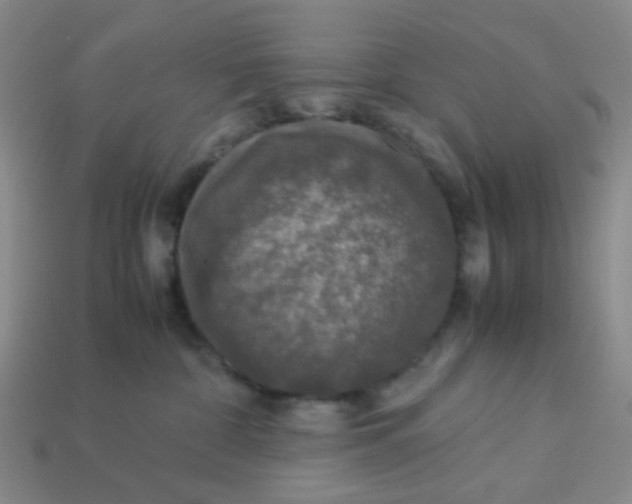 X0000113600332200910091525