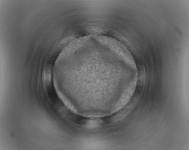 X0000113600334200910091525