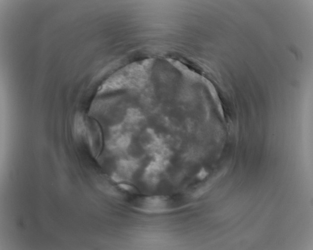 X0000113600335200910091525