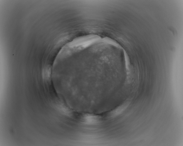 X0000113600336200910091525