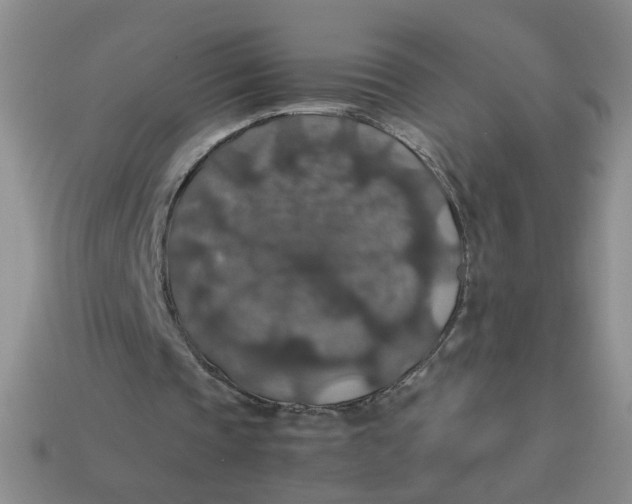 X0000113600337200910091525