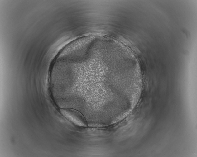 X0000113600338200910091525