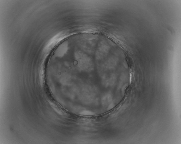 X0000113600339200910091525