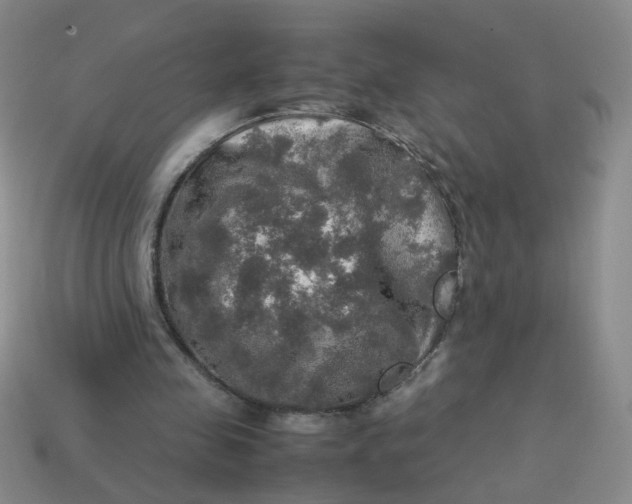 X0000113600341200910091525