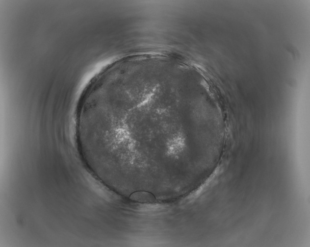 X0000113600342200910091525