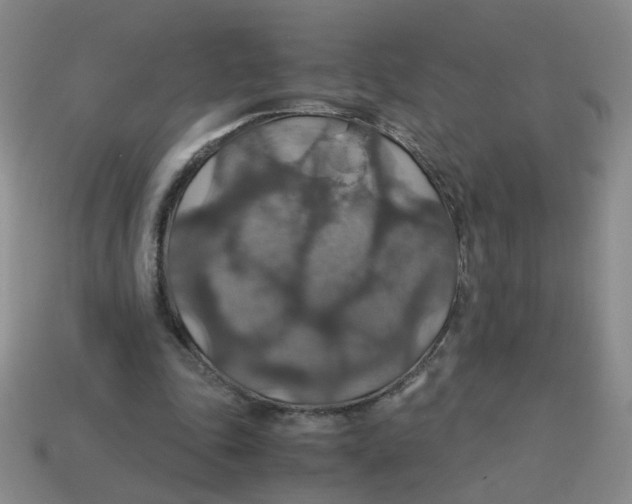 X0000113600343200910091525