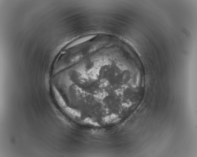 X0000113600345200910091525