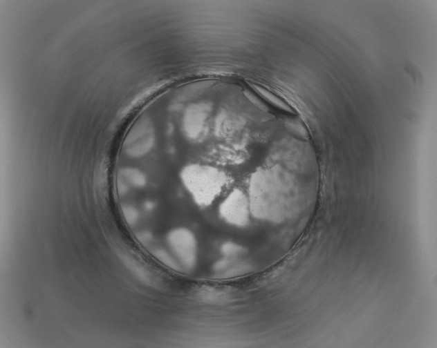 X0000113600346200910091525