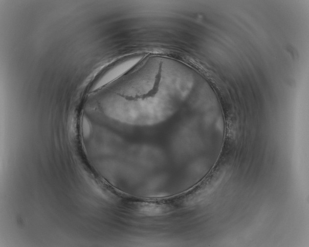 X0000113600347200910091525