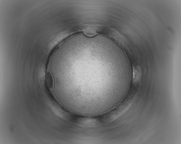 X0000113600348200910091525