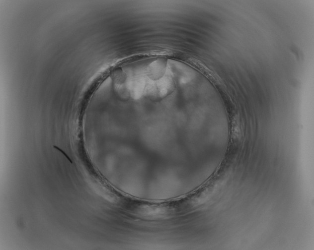 X0000113600351200910091525