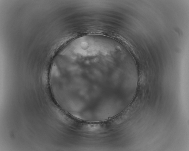 X0000113600353200910091525