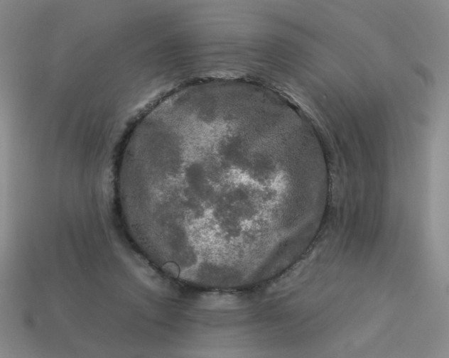 X0000113600354200910091525