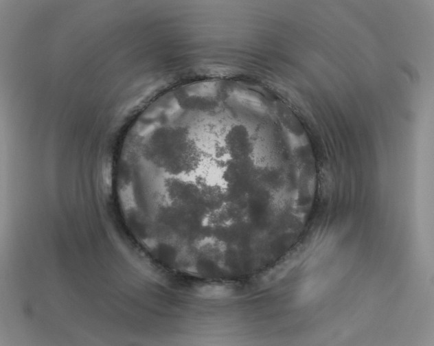 X0000113600358200910091525