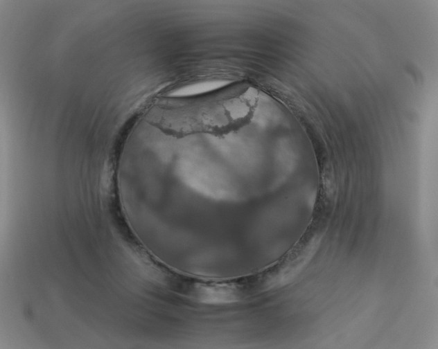 X0000113600359200910091525