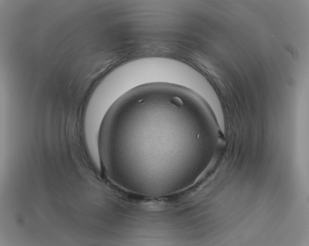 X0000113600362200910091525