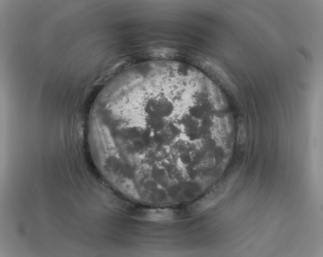 X0000113600363200910091525