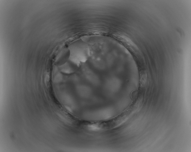 X0000113600365200910091525