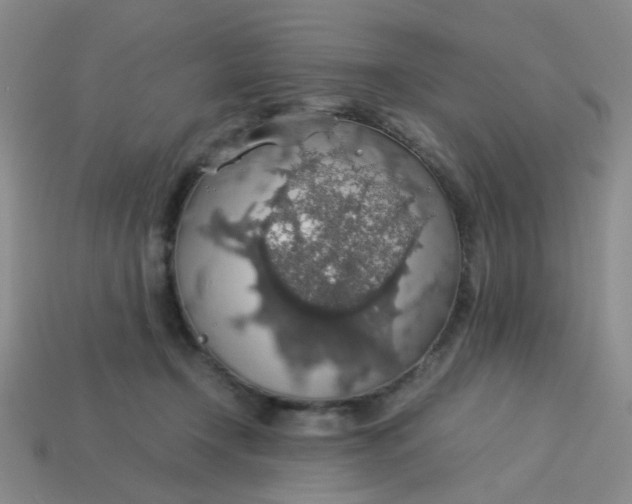 X0000113600366200910091525