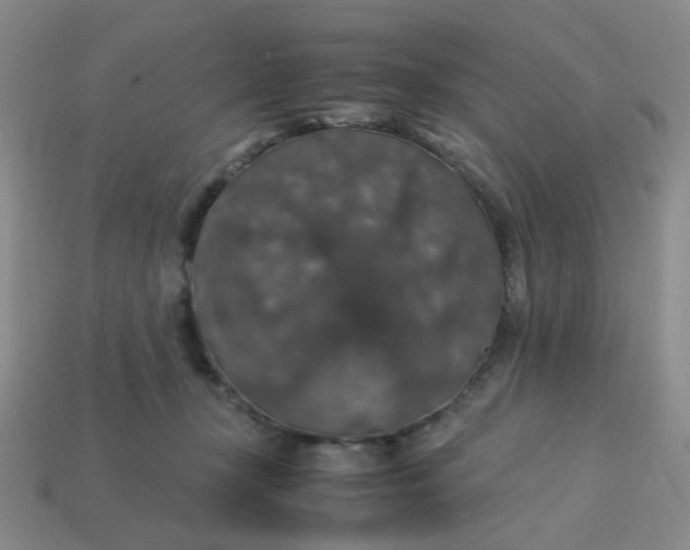 X0000113600367200910091525