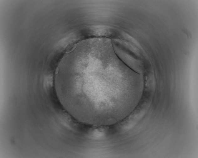 X0000113600368200910091525