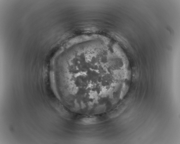 X0000113600369200910091525