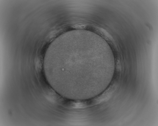 X0000113600370200910091525