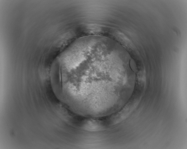 X0000113600372200910091525