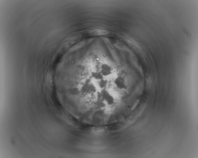 X0000113600373200910091525