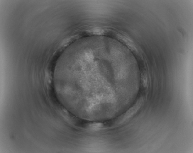 X0000113600374200910091525