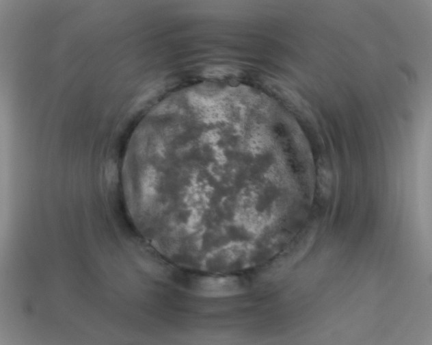 X0000113600375200910091525