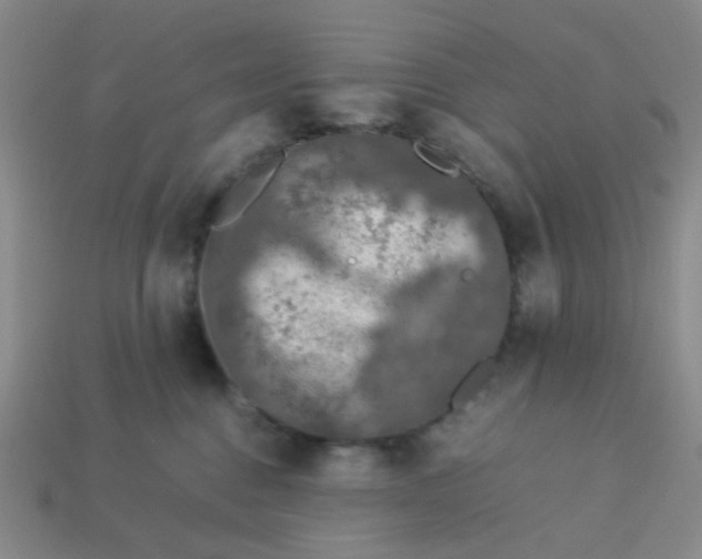 X0000113600376200910091525