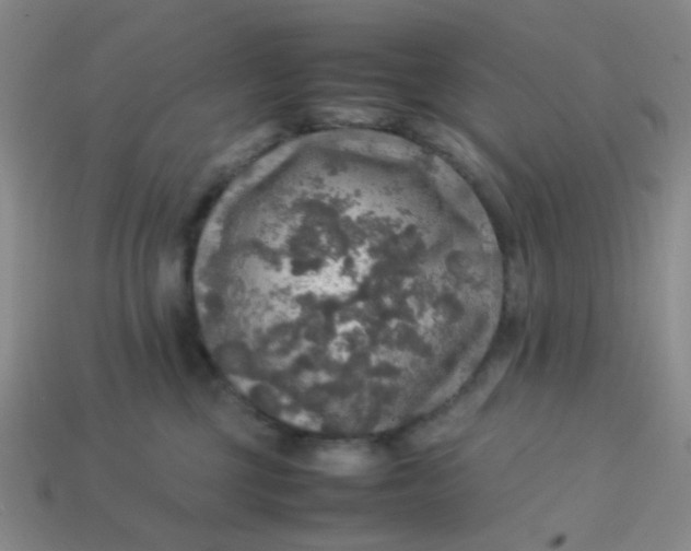 X0000113600377200910091525