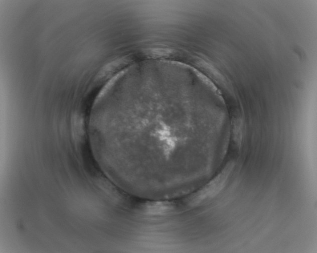 X0000113600378200910091525