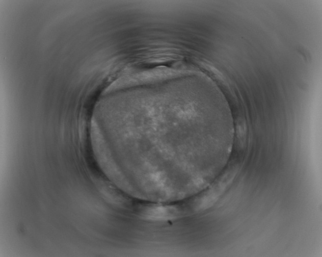 X0000113600379200910091525