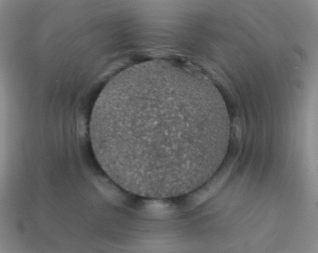 X0000113600380200910091525