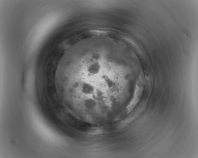 X0000113600381200910091525