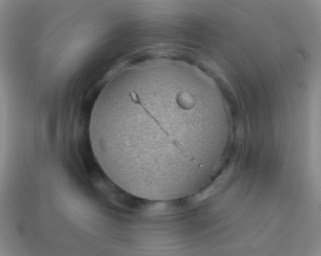 X0000113600382200910091525