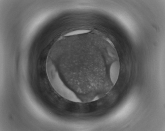 X0000113600383200910091525