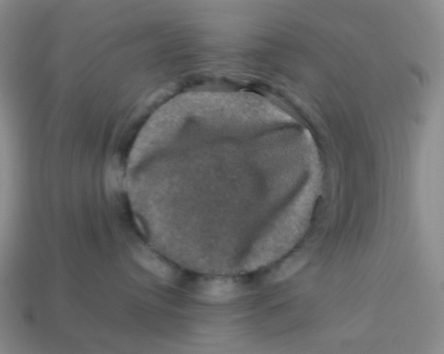 X0000113600384200910091525