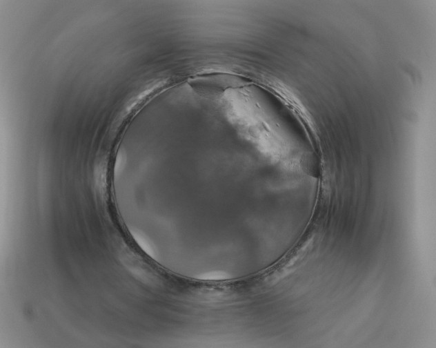 X0000113600386200910091525