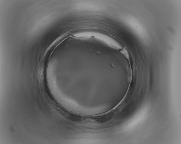 X0000113600387200910091525