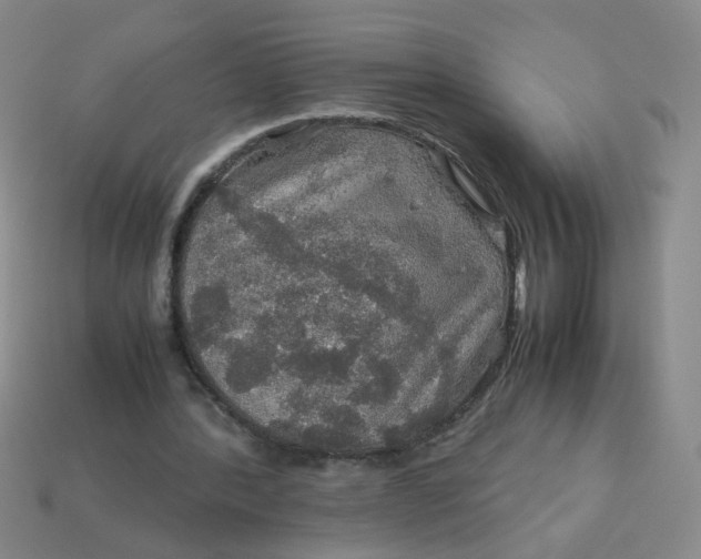 X0000113600388200910091525