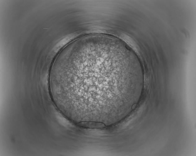 X0000113600389200910091525