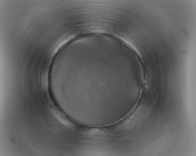 X0000113600390200910091525