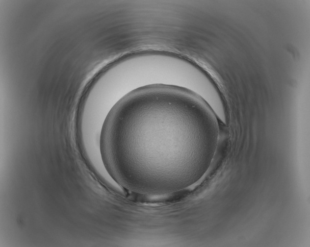 X0000113600391200910091525