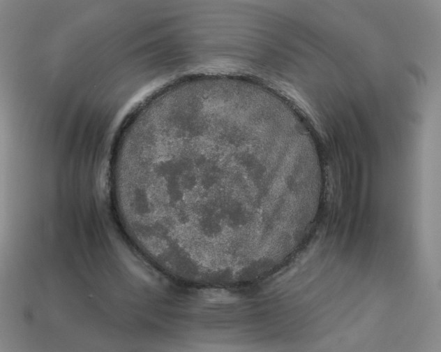 X0000113600392200910091525