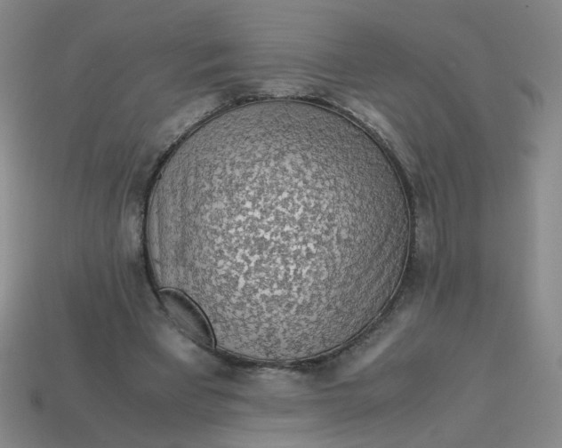 X0000113600393200910091525