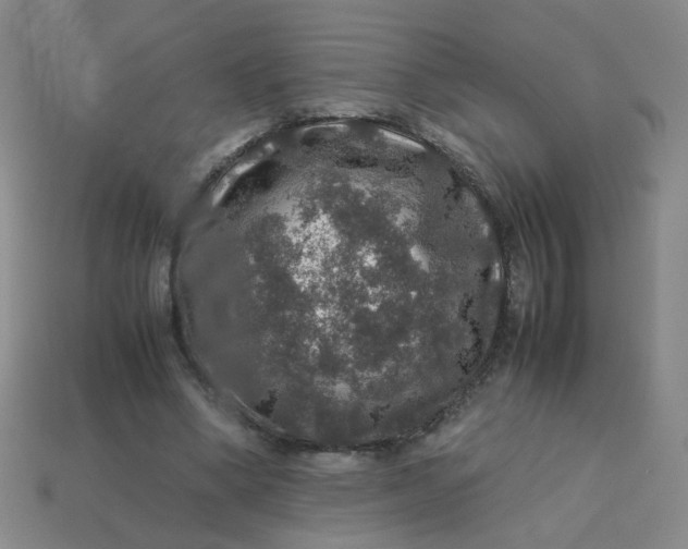 X0000113600394200910091525