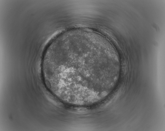 X0000113600395200910091525